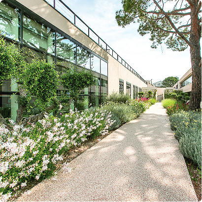 Vue extérieure du projet Arcole à Sophia Antipolis, projet de FSDV, avec façade vitrée, cheminement piéton et espaces paysagers.